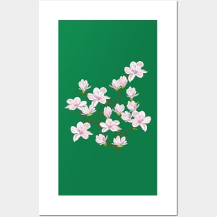 Magnolia Blossom Posters and Art